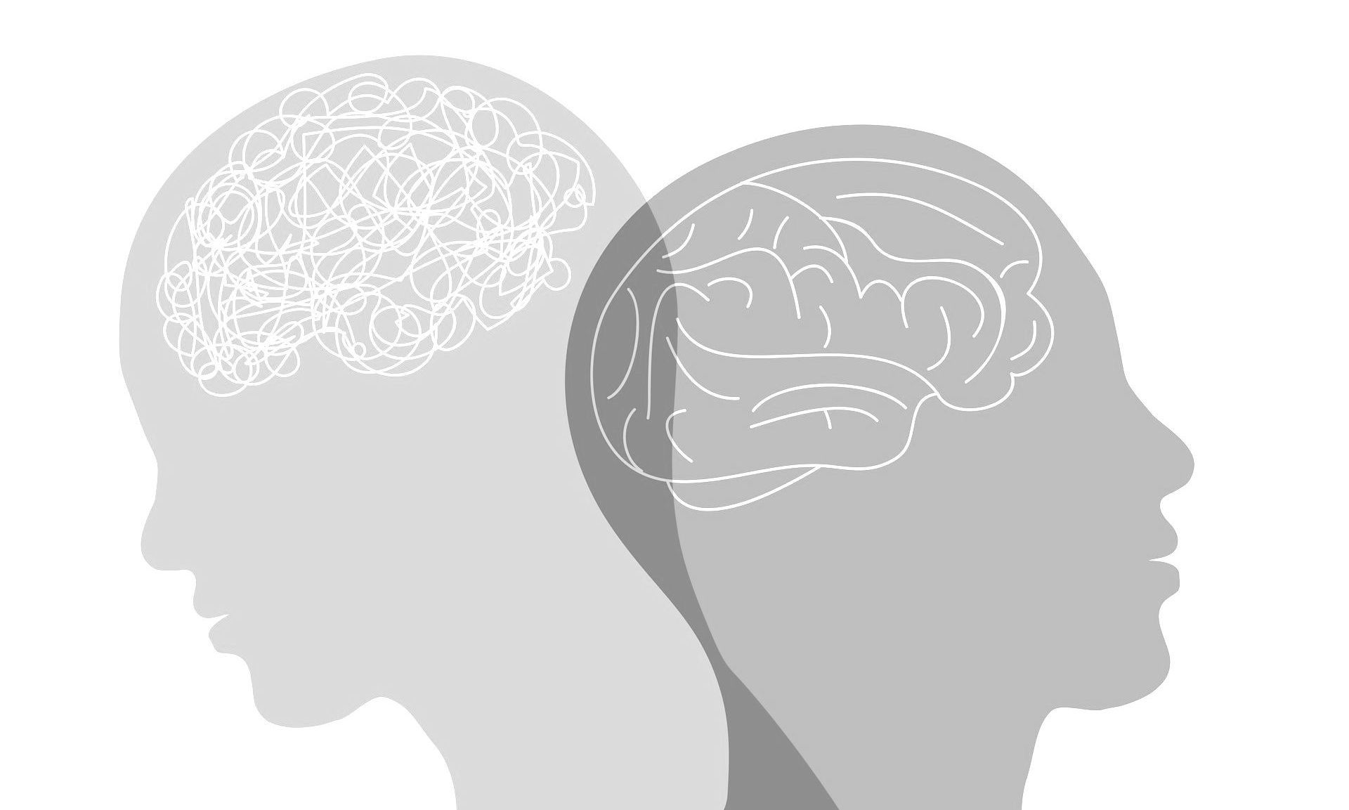 two human brain illustrations overlapping one another.