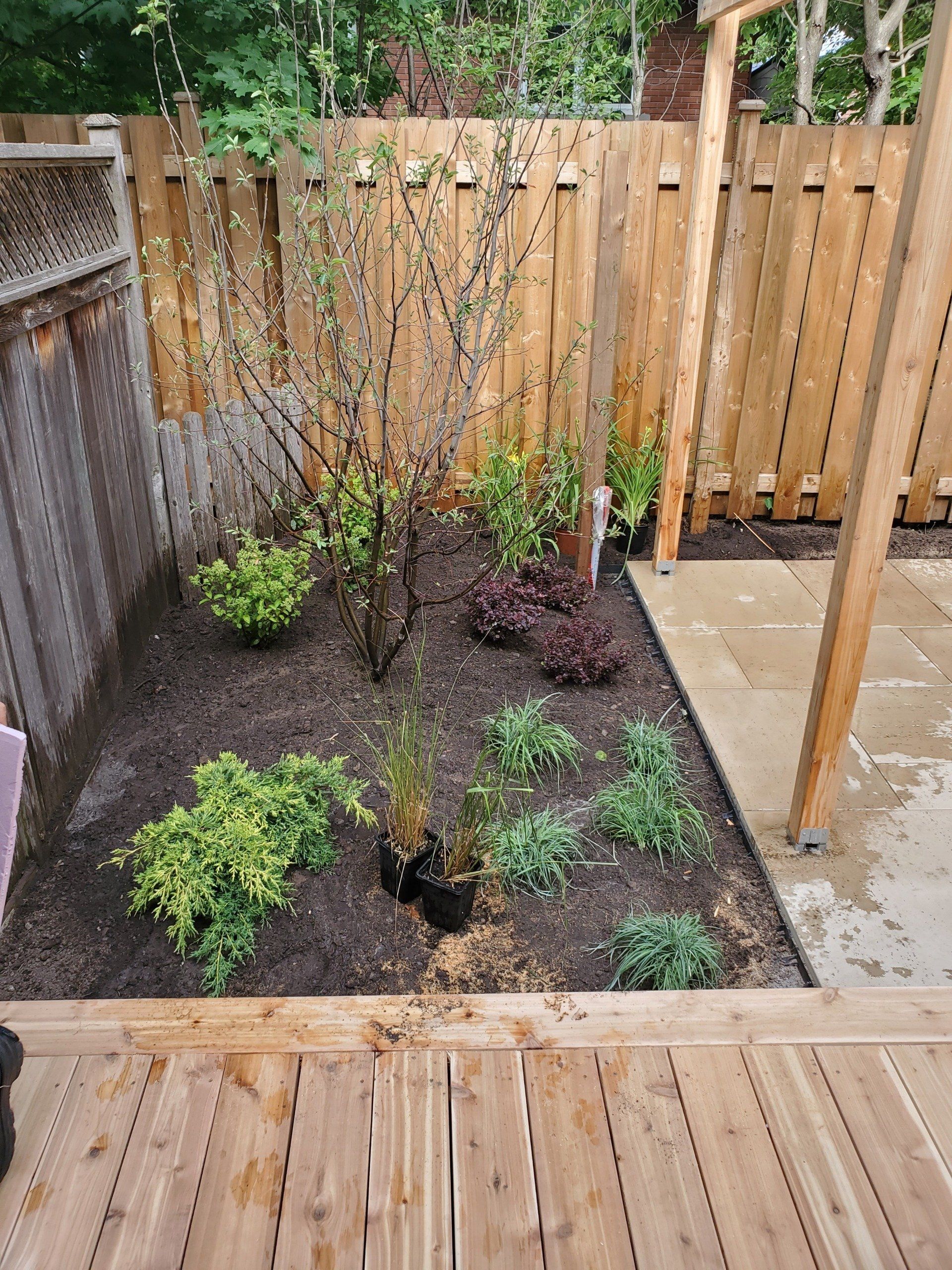 A garden with a wooden fence and a wooden deck