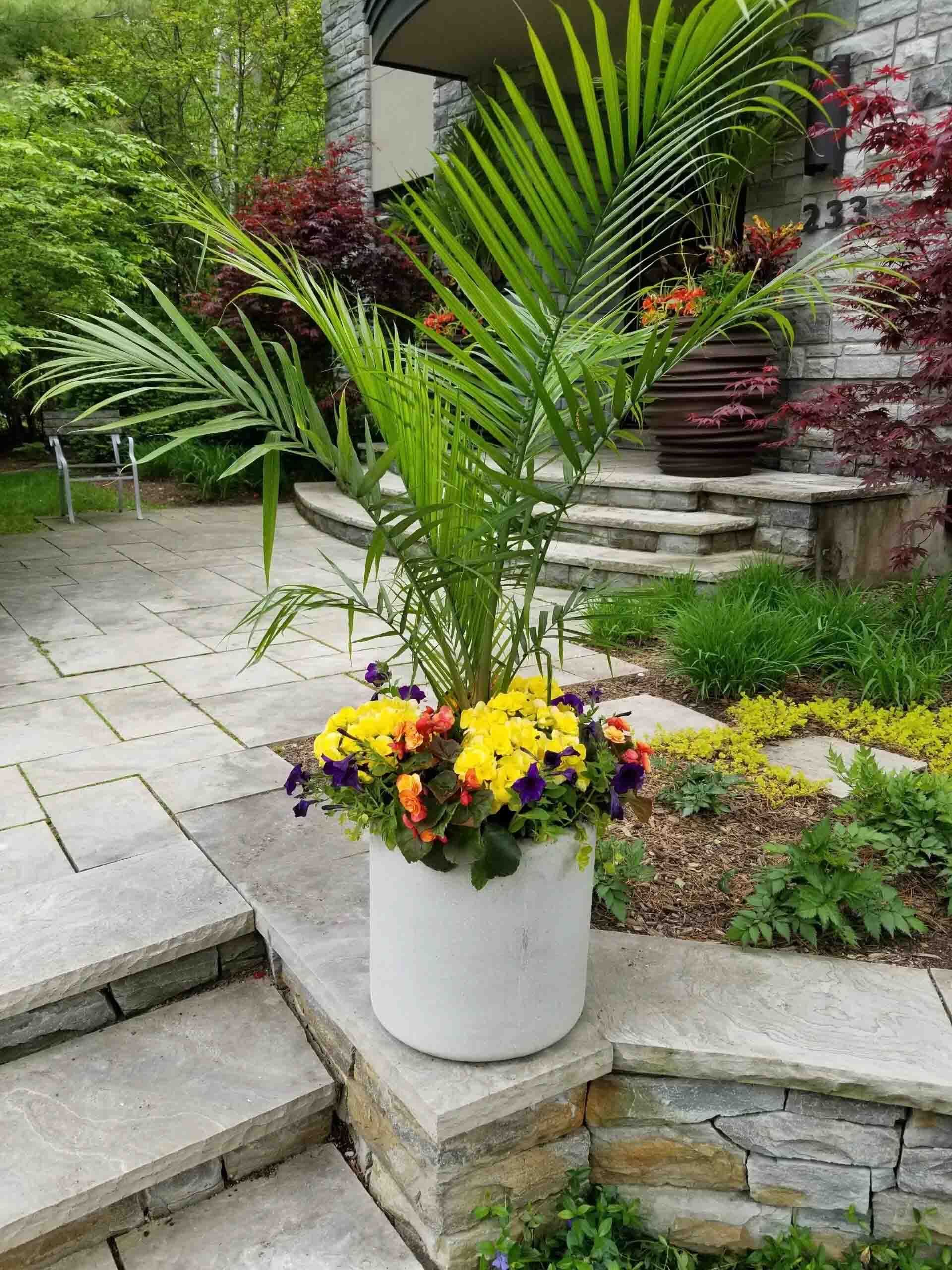 A potted plant with flowers in it is sitting on a stone wall.