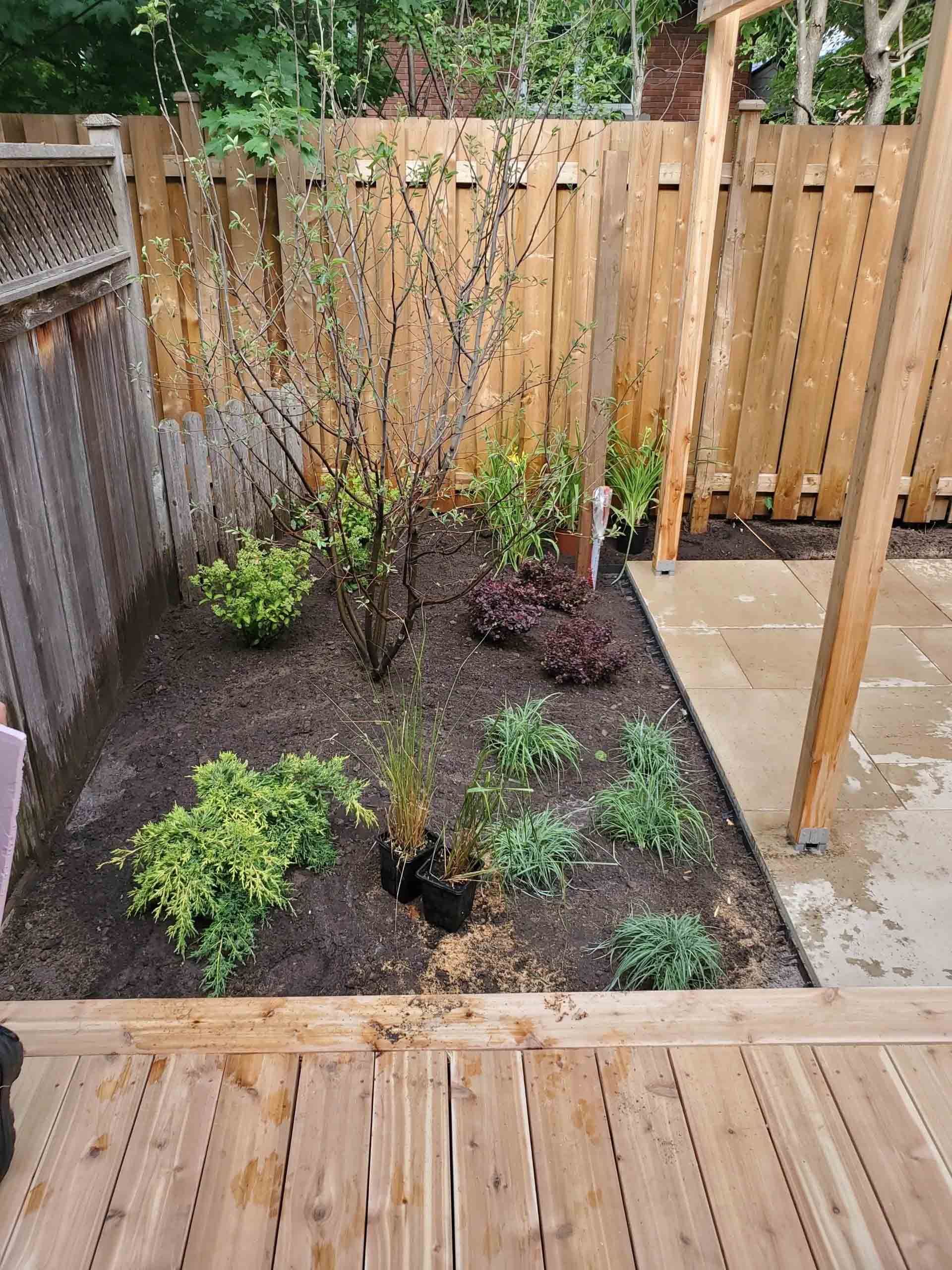 A garden with a wooden fence and a wooden deck