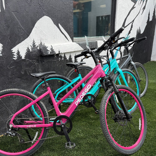 Two colorful bicycles parked on grass beside a mural wall