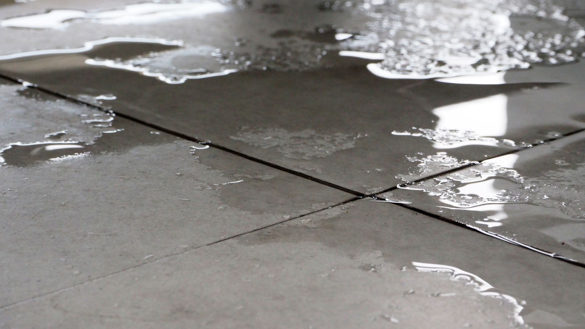 Slip and Fall