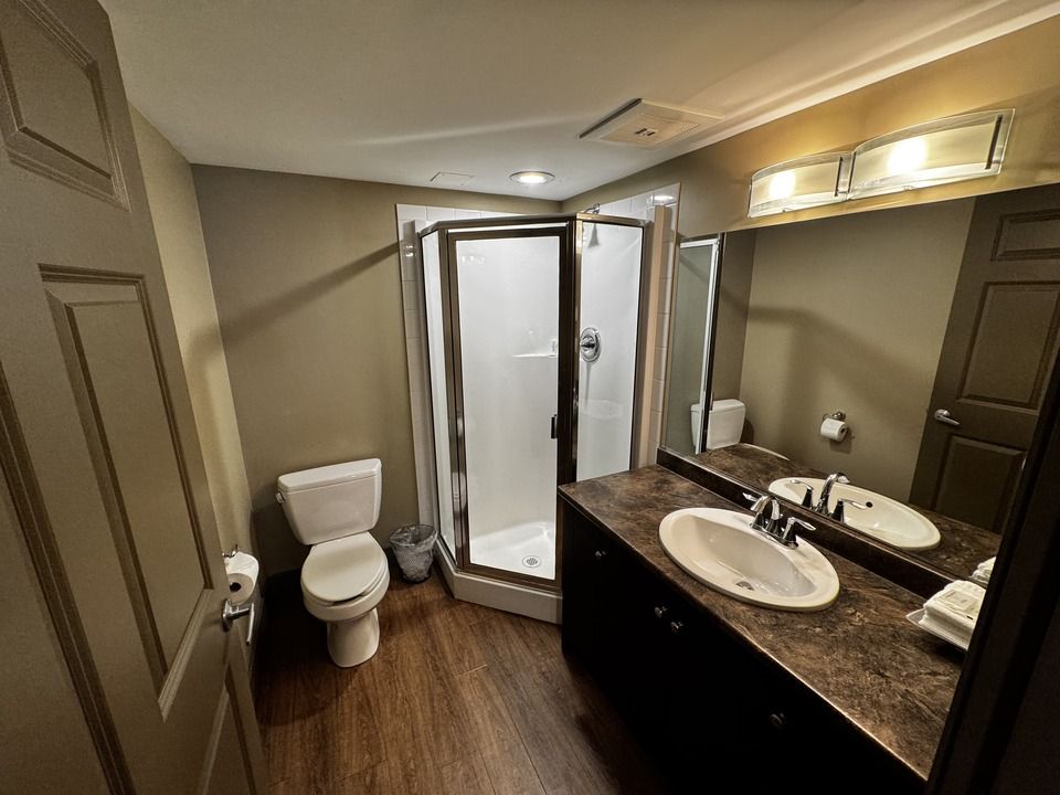 Bathroom with shower, toilet, vanity, and brown flooring. Dark brown walls and cabinet.