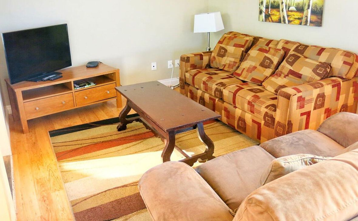 Living room with sofa, coffee table, TV, wooden floor, and patterned rug.