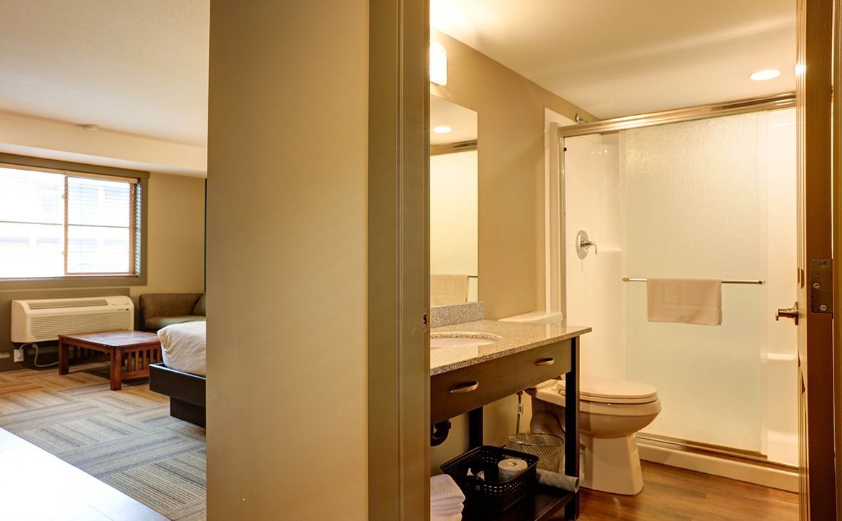Hotel room with a view into the bathroom. The bathroom has a shower, toilet, and vanity. The bedroom has a bed and a window.