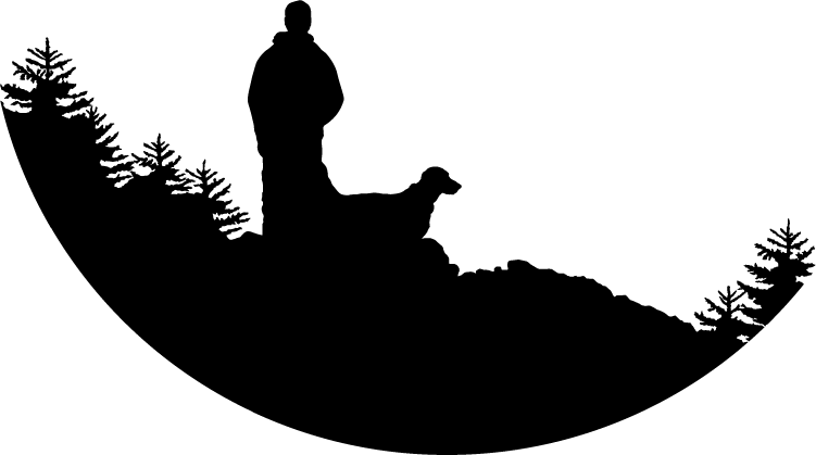 A silhouette of a man and a dog sitting on top of a hill.