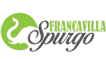 ICONA LOGO