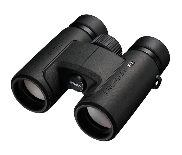 Optics image