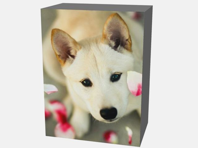 Photo Blocks