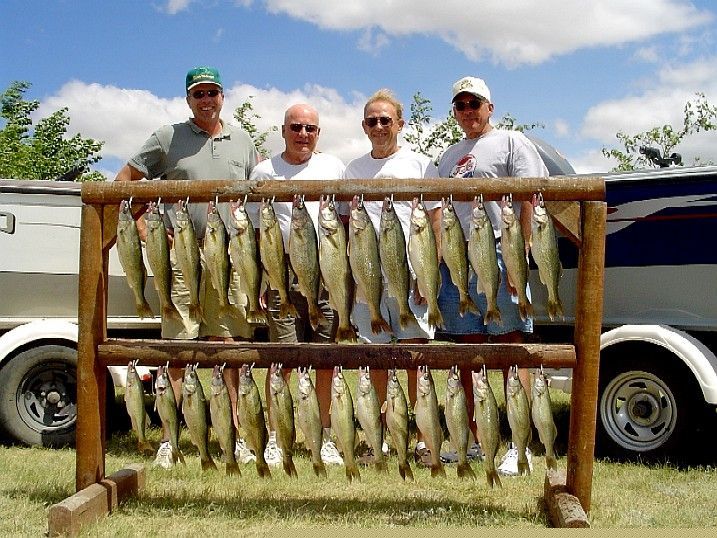 Four men pose with a rack of caught fish in front of a boat, sunny day.
