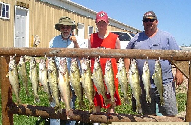 Three people stand by a rack displaying a string of fish they caught outdoors. Sunny day.