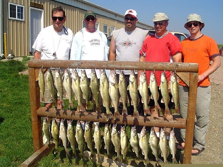 Five people pose with many fish hanging on a rack outside a building.