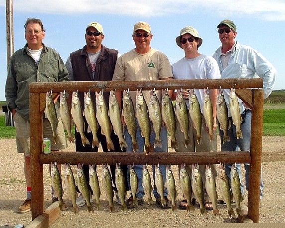 Five people posing with many fish hanging on a wooden rack outdoors.
