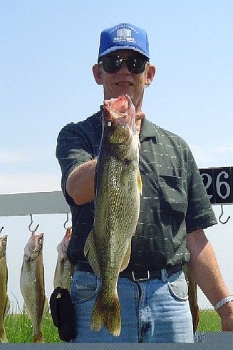 Man holding a walleye fish, with others hanging on a rack outside.