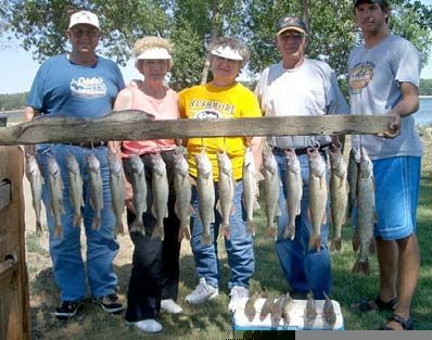 Five people holding up a row of caught fish. Green grass and water visible.
