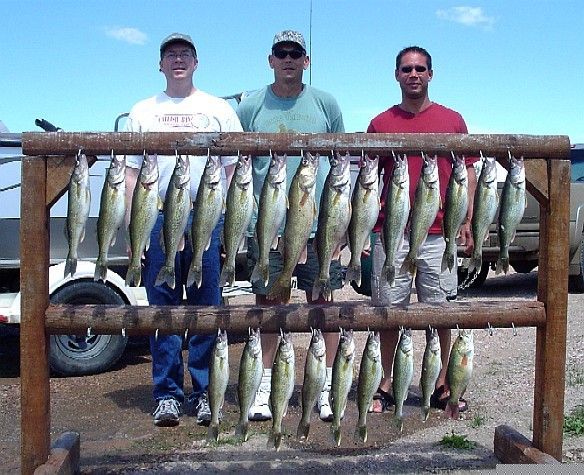 Three men stand behind a wooden rack displaying multiple fish. Blue sky.
