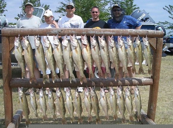 People pose with a large display of caught fish, likely walleye, on a wooden rack, outdoors.