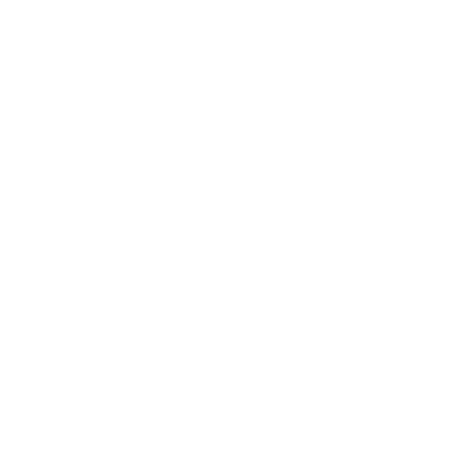 Adams Guide Service logo with anchor and www.oahewalleye.com
