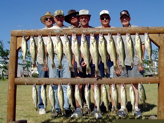 Group of anglers holding up a rack of caught fish in a grassy field on a sunny day.
