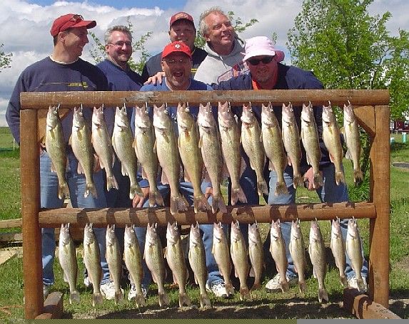 Men pose with many walleye fish hanging on a wooden rack outdoors.