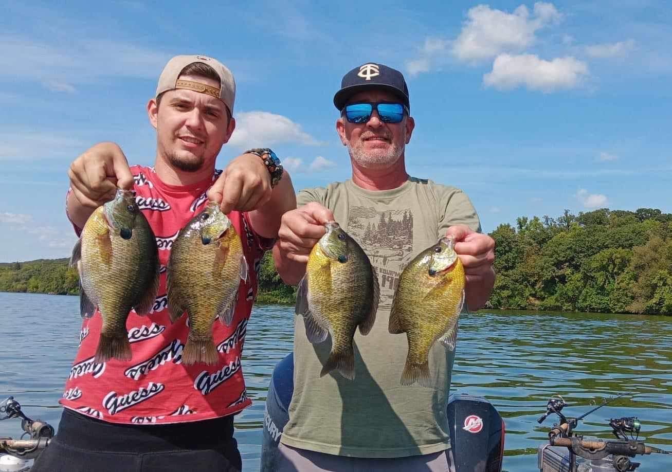 Two men on a boat, holding up four bluegill. Bright blue sky, trees in the background, sunny day.