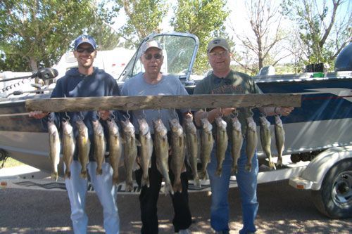 Three men holding a wooden stringer with many fish in front of a boat.