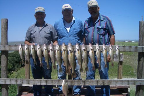 Three men pose with a rack of caught fish in front of a blue sky and grassy field.