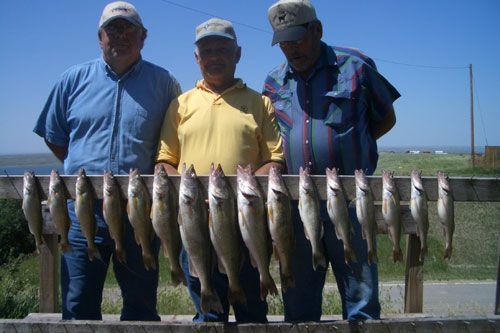 Three men pose with a wooden rack holding a row of caught fish, on a sunny day.