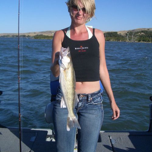Young woman on boat holds up large walleye she caught on a lake.