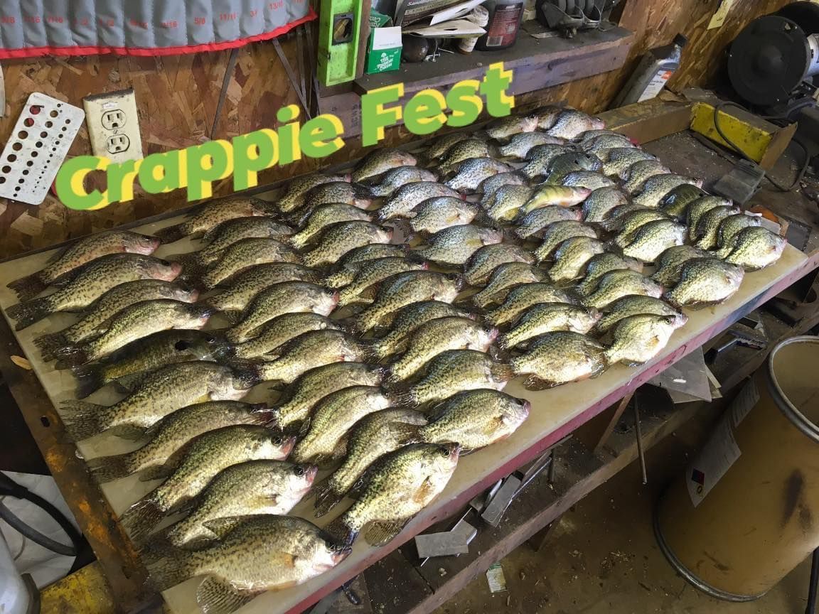 A table covered with numerous crappie fish, prepared for a 
