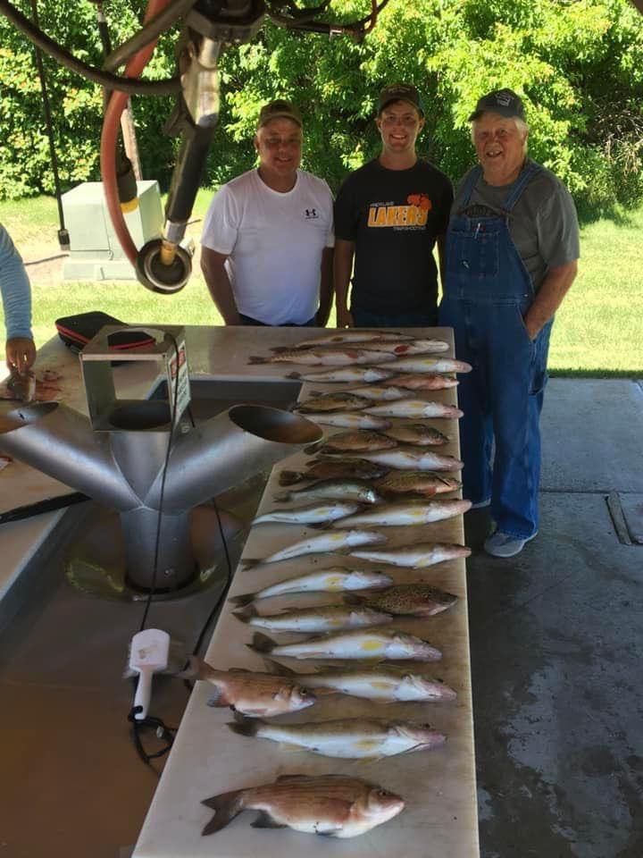 Three men with a catch of fish on a cleaning table. Bright outdoor setting.