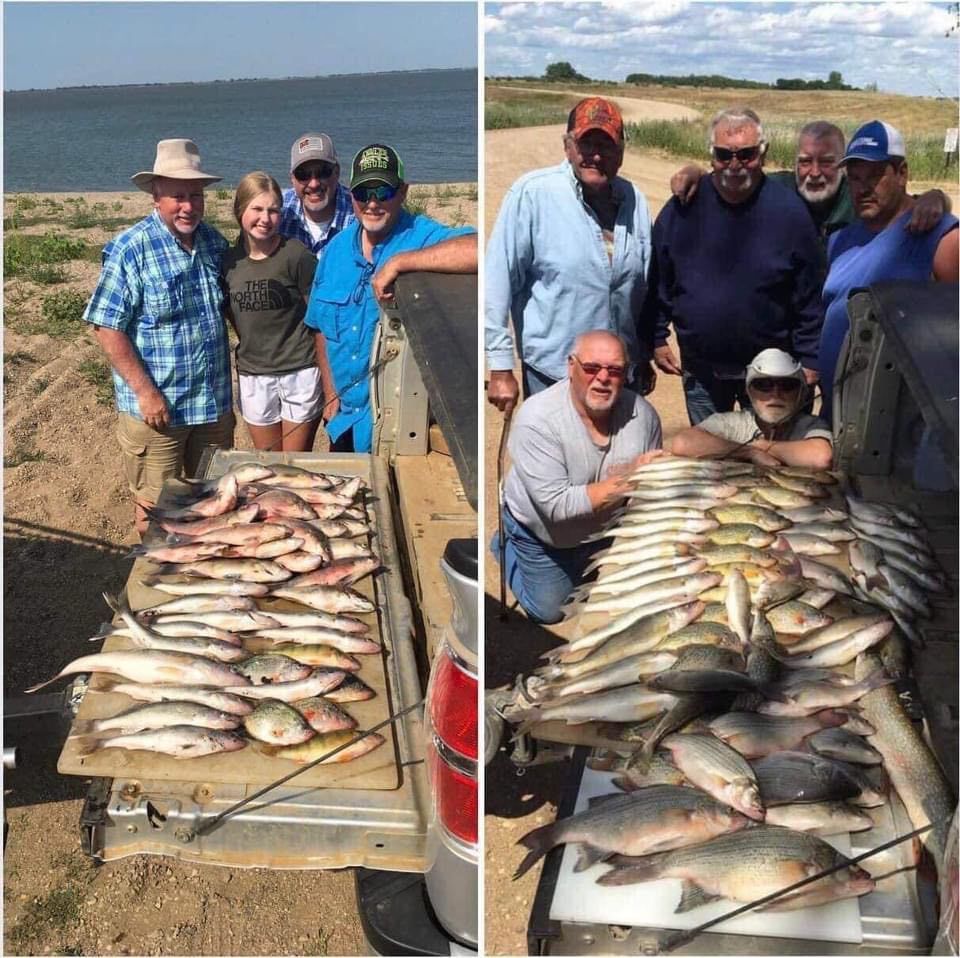 Two photos of people posing with large catches of fish in truck beds.