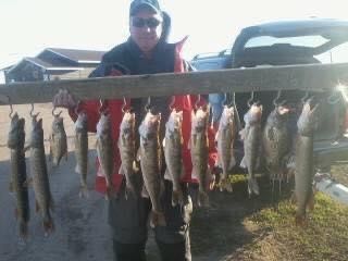 Person holding a wooden rack with many fish hanging from hooks, likely caught outdoors.