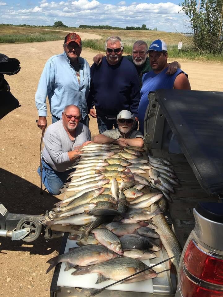 Group of men pose with a large catch of fish on the tailgate of a truck outdoors.