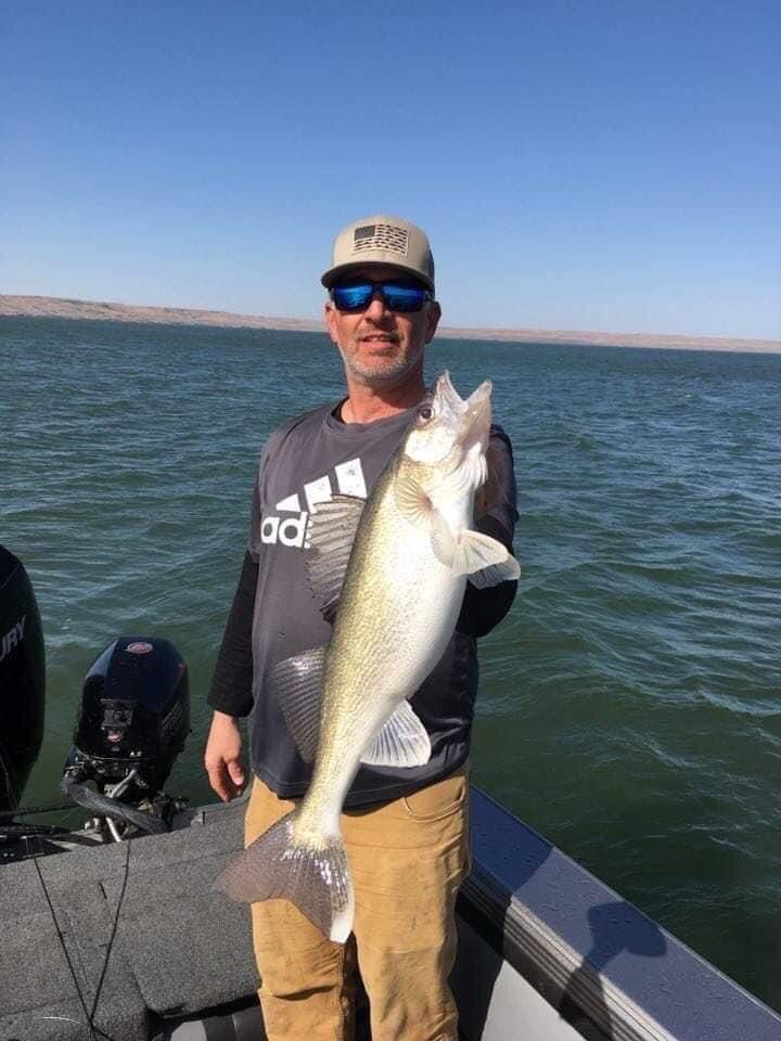 Man on a boat holding a large walleye fish. Sunny day, water background.