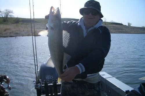 Man in a boat holding a large fish; water and shoreline in background.