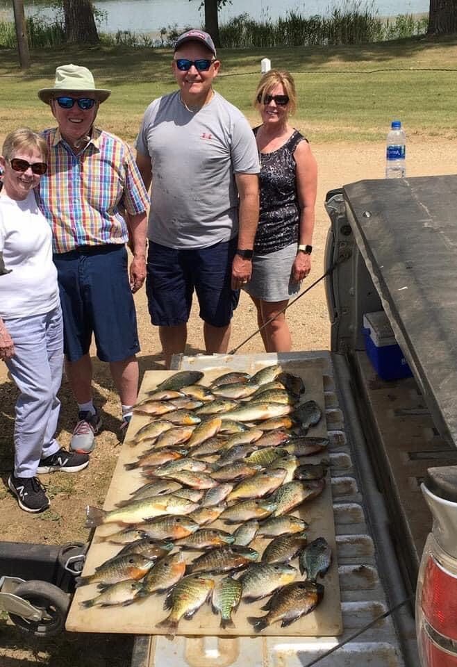 Four people pose with a large display of fish on a tailgate near a lake.