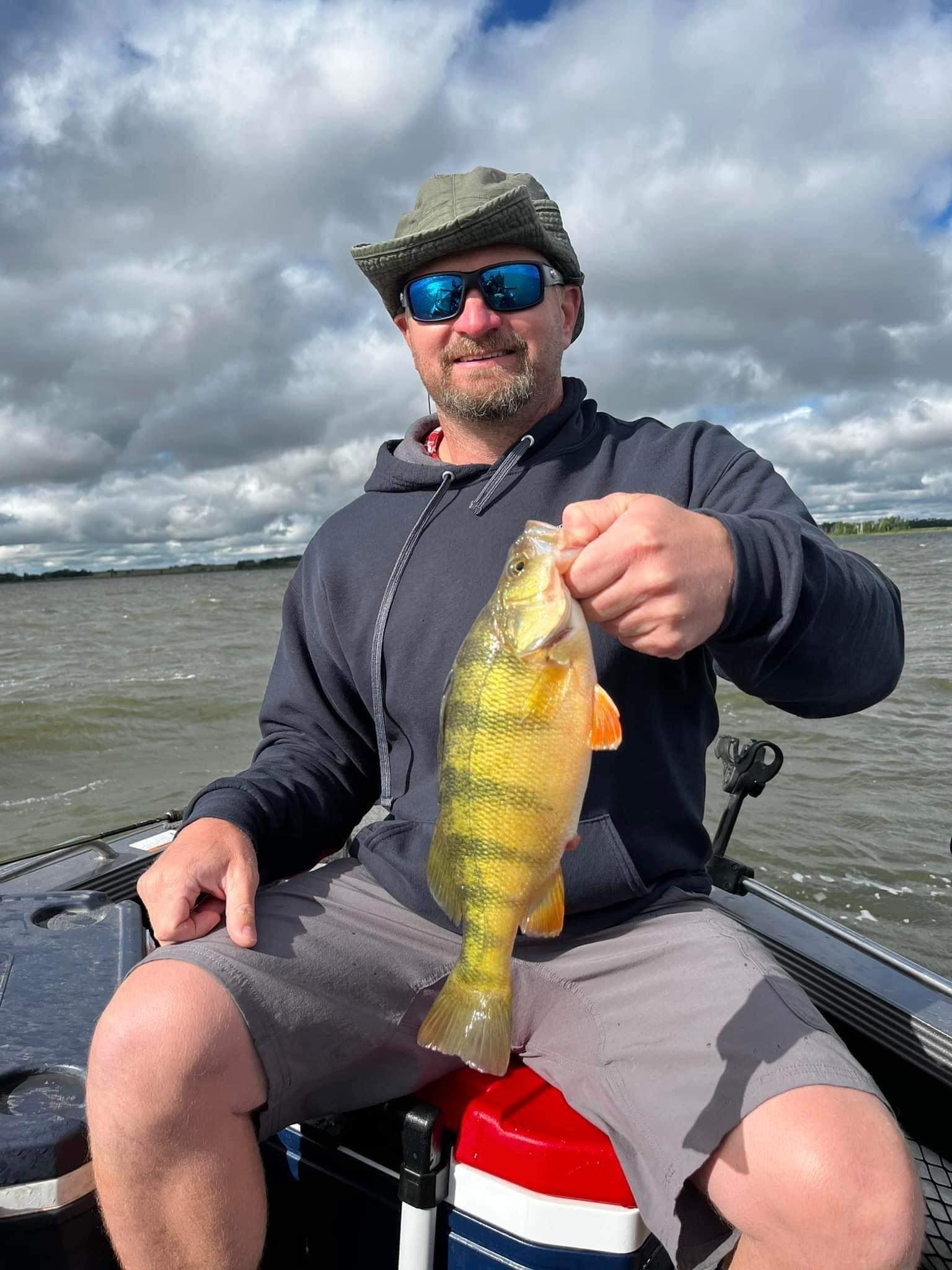 Man on boat holds up yellow perch, lake in background, overcast skies.