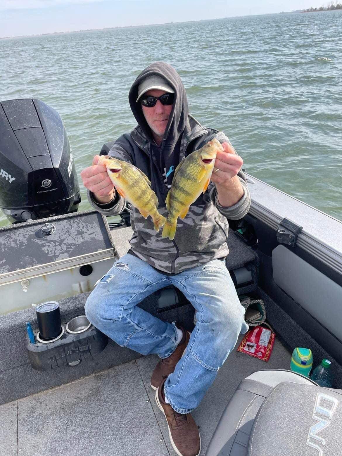 Person on a boat holding two yellow perch. The man wears a hood, sunglasses, and sits in the boat on a lake.