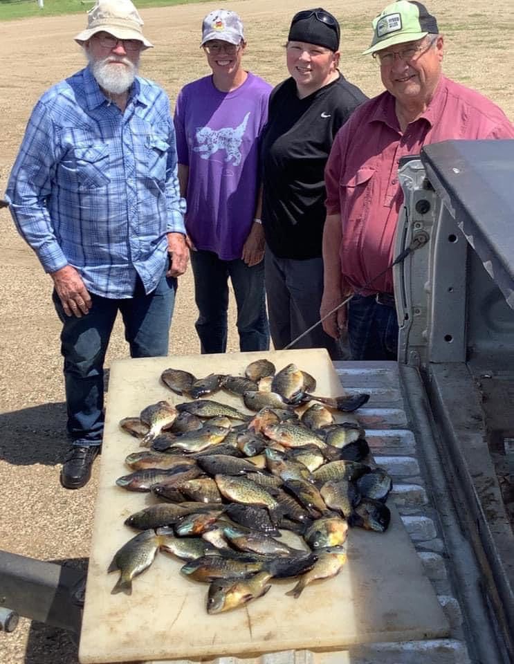 Four people standing near a tailgate piled with fish on a cutting board, sunny outdoor setting.