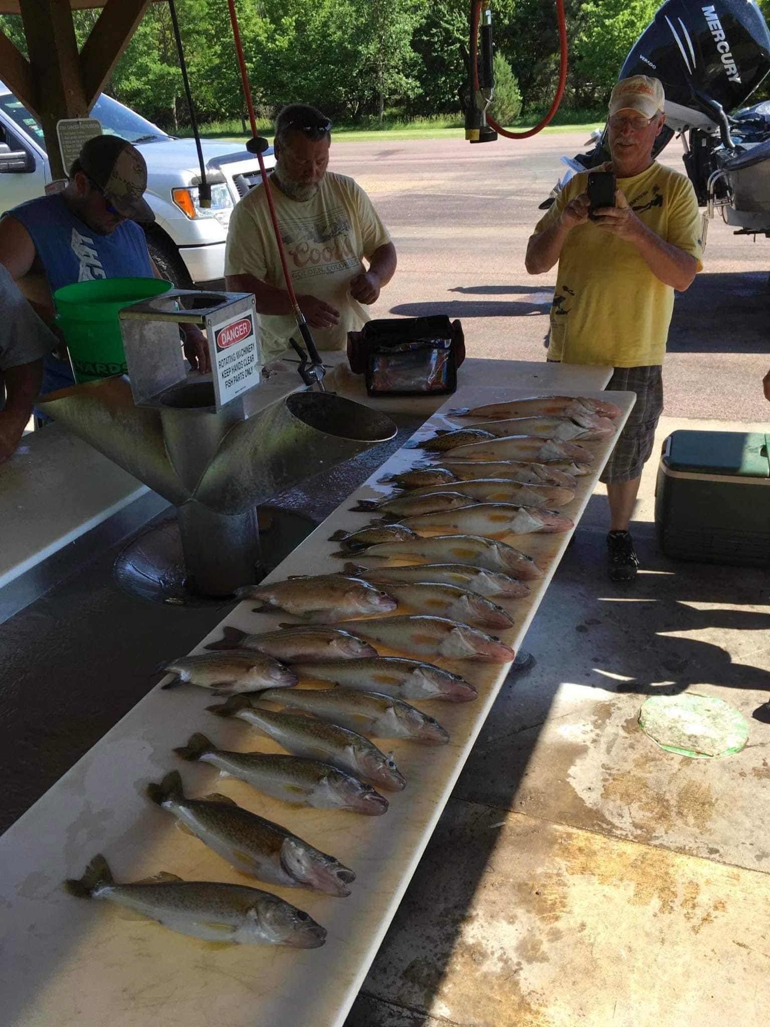 People weigh and photograph a long line of fish on a table near a boat dock.
