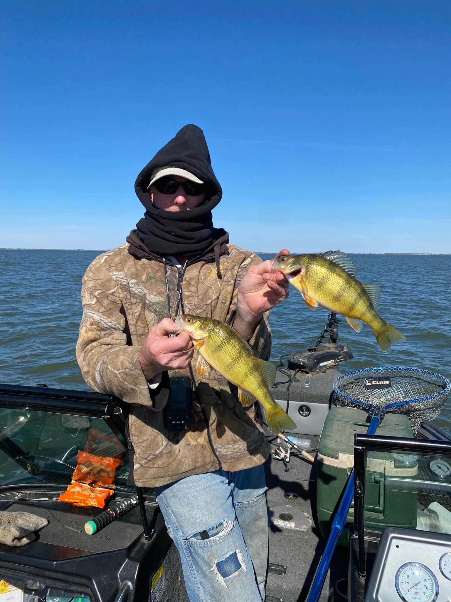 Man in camo jacket on a boat holding two yellow perch, water and blue sky background.