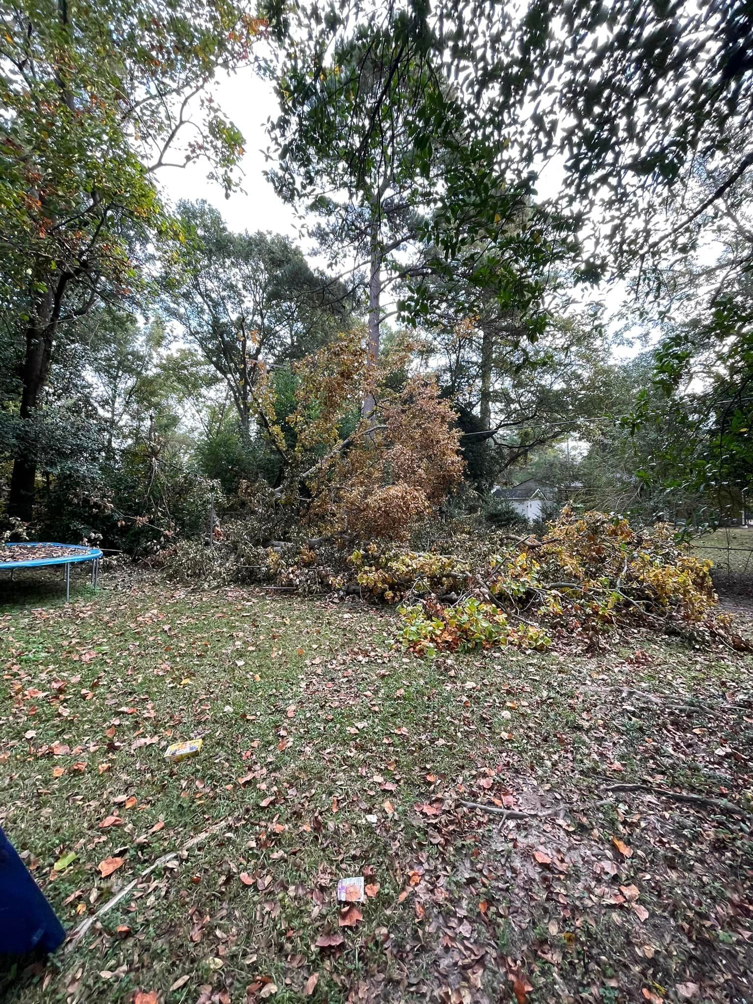 Tree Branches Downed in Severe Storm – Elgin, SC - Kirby's Tree Care