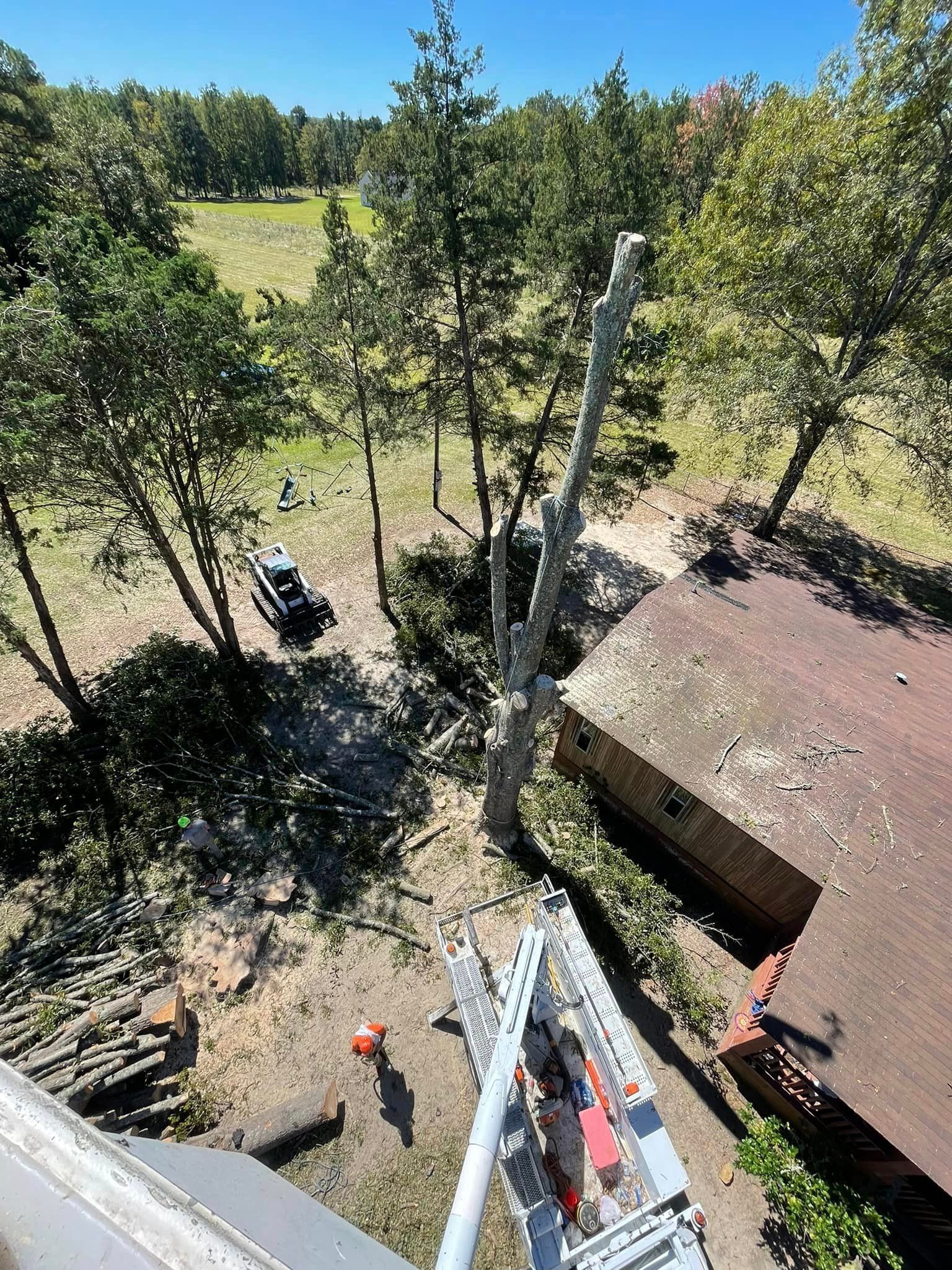 Cutted Tree – Elgin, SC - Kirby's Tree Care