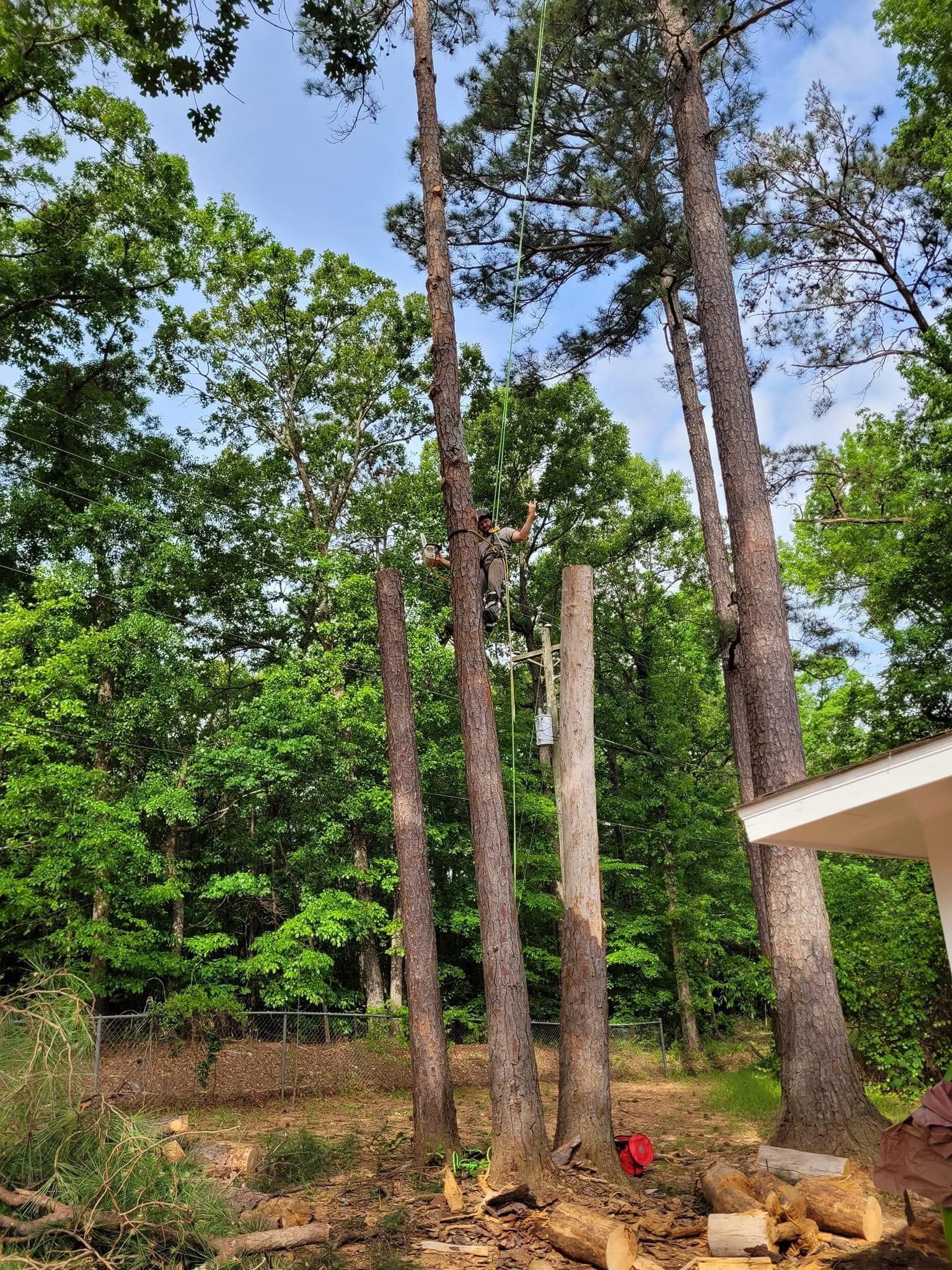 Tree Cutting – Elgin, SC - Kirby's Tree Care