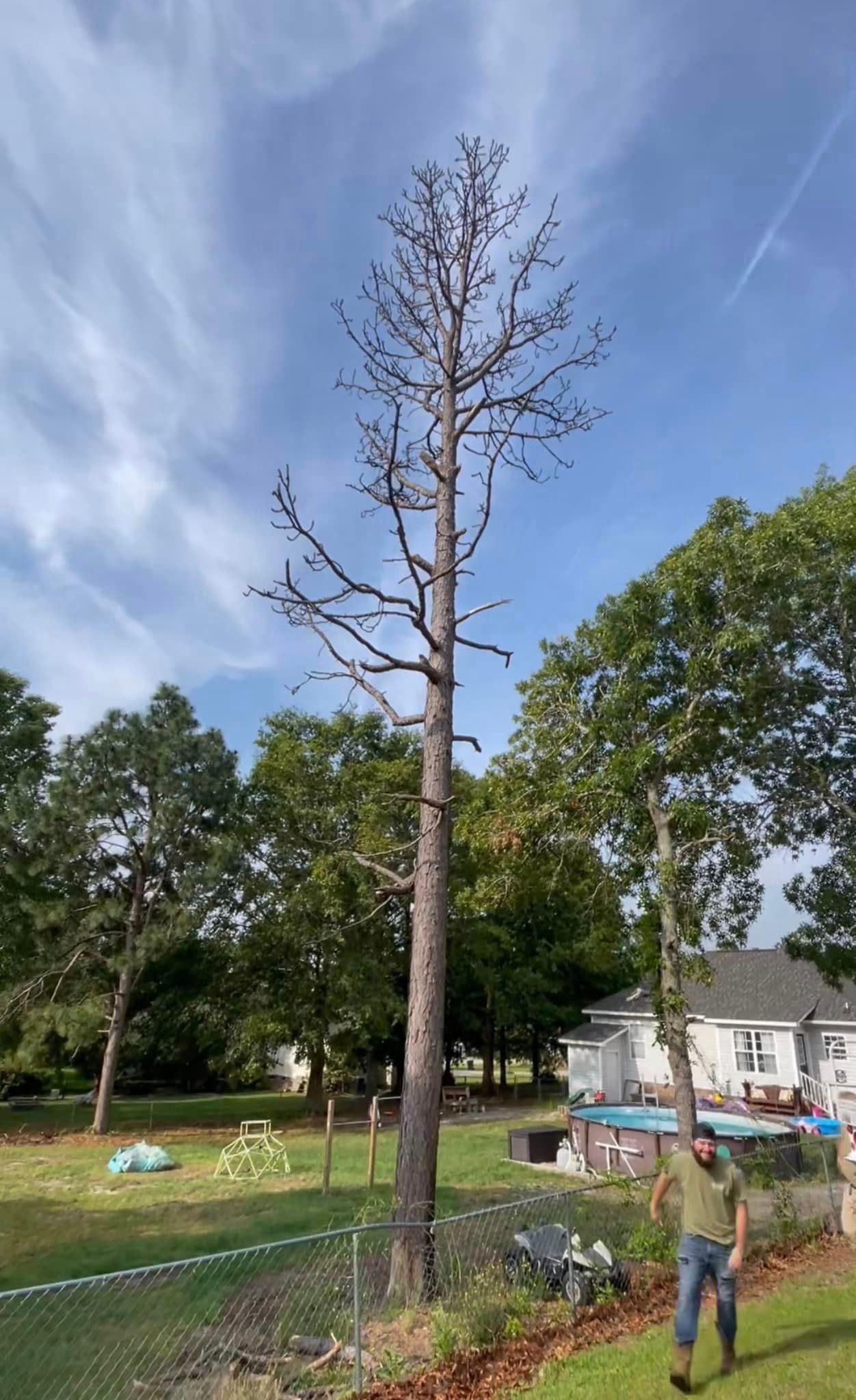 Tree Pruning – Elgin, SC - Kirby's Tree Care