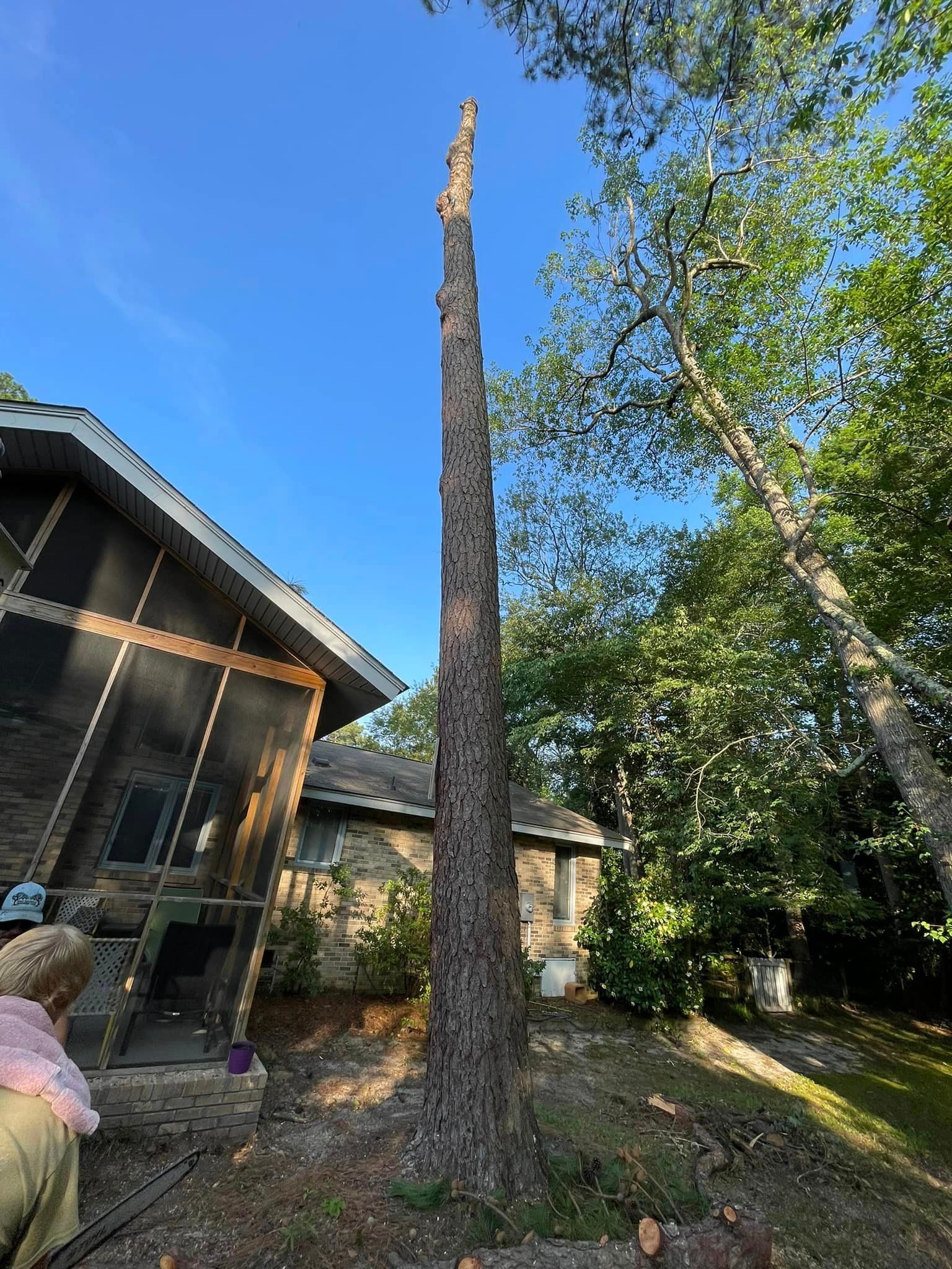 Tree Removal – Elgin, SC - Kirby's Tree Care