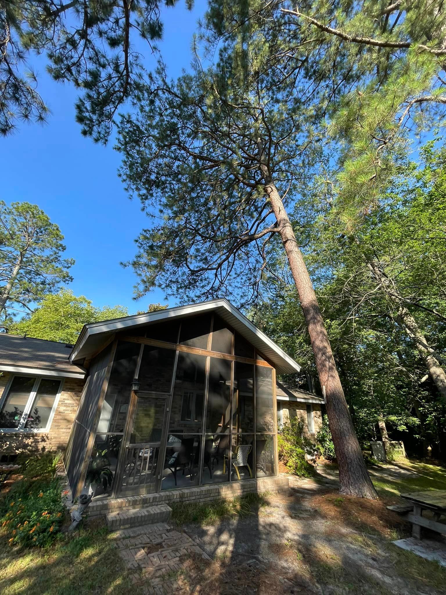 Tree Service – Elgin, SC - Kirby's Tree Care
