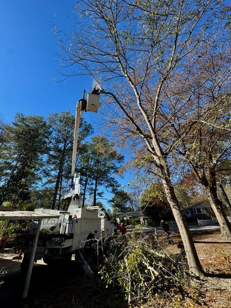 Male service worker cutting down big tree branches with chainsaw from high chair lift platform.