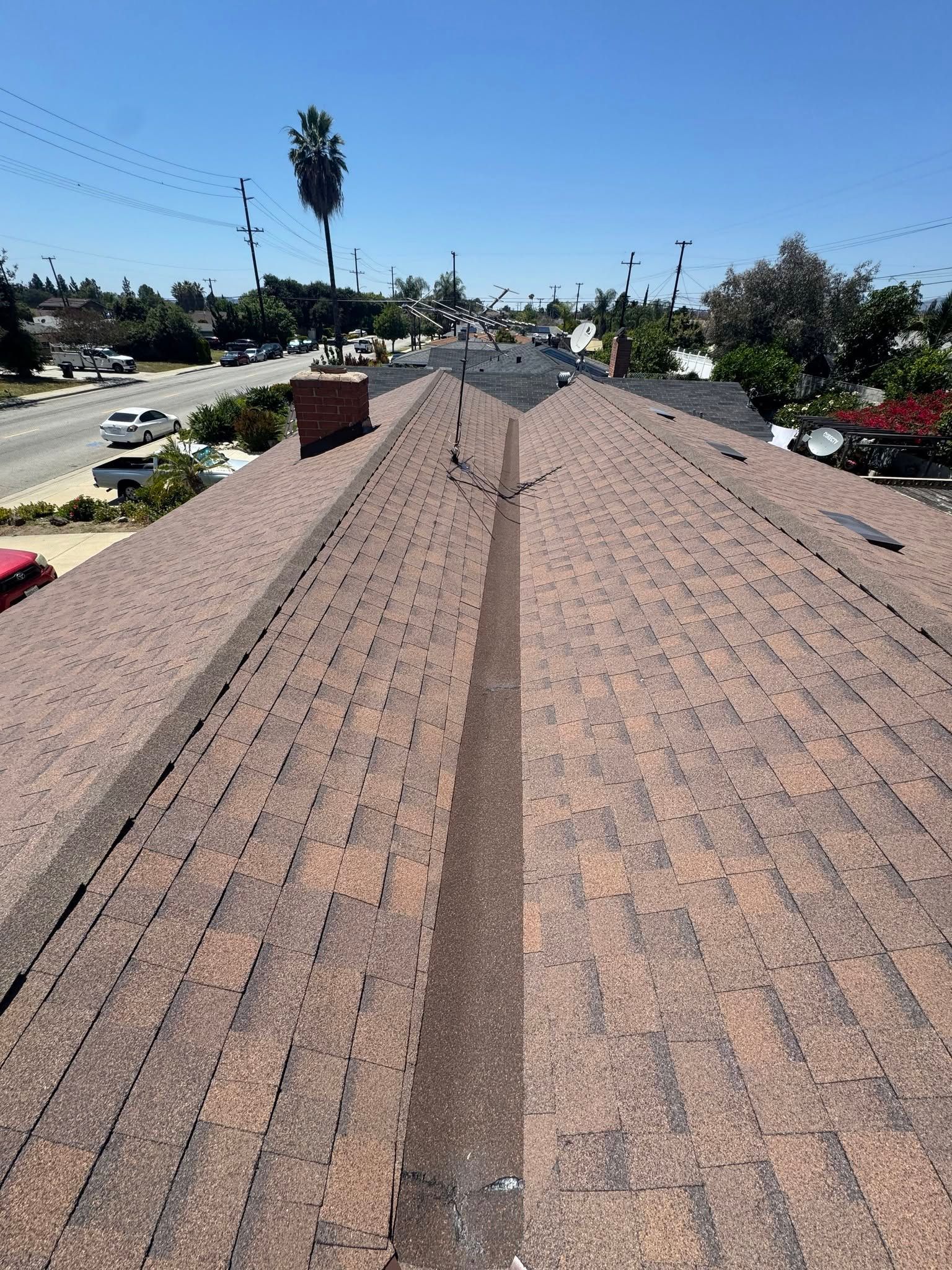 Rooftop view over a suburban street with trees, parked cars, and a tall palm tree under a clear blue sky
